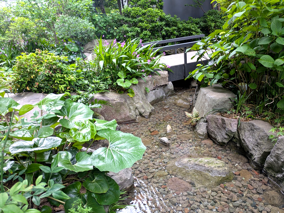 ニュース